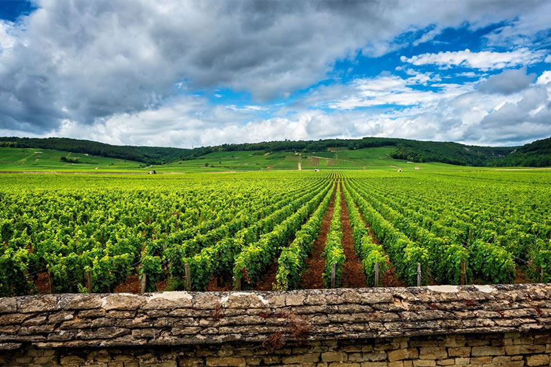 bourgogne-rhone-provence